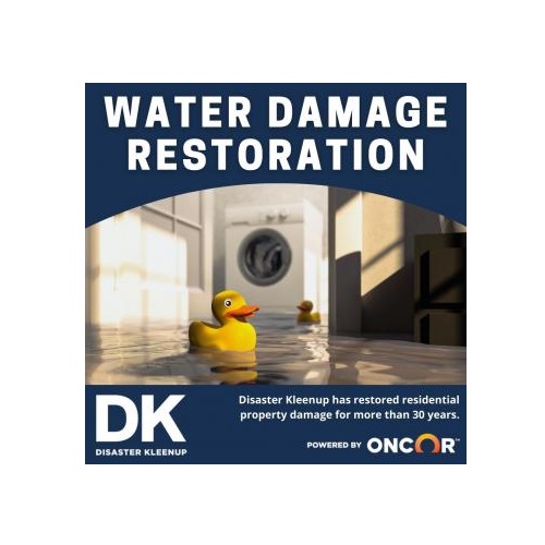 Image for Disaster Kleenup with ID of: 5308670