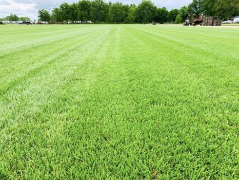 Image for Keeven Brothers Sod Co with ID of: 5311698