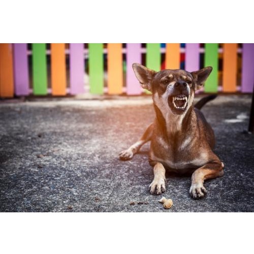 Image for Kuzyk Law with ID of: 5320073
