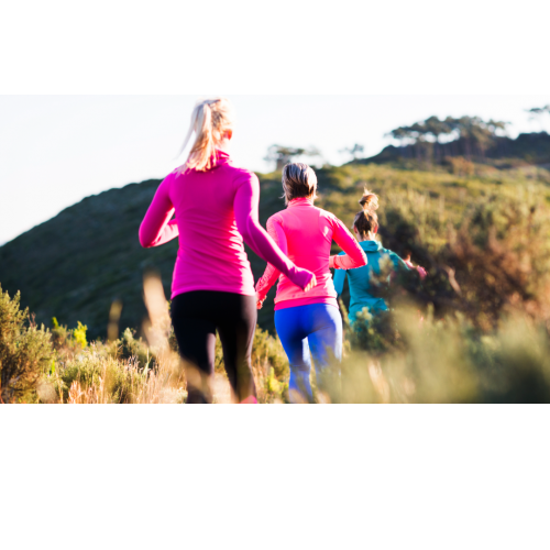 Image for ProActive Physical Therapy | North with ID of: 5327164