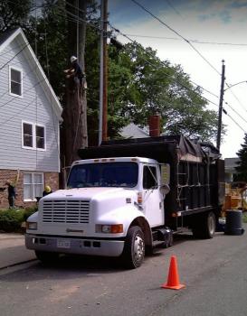Image for United Tree Care LLC with ID of: 5328918