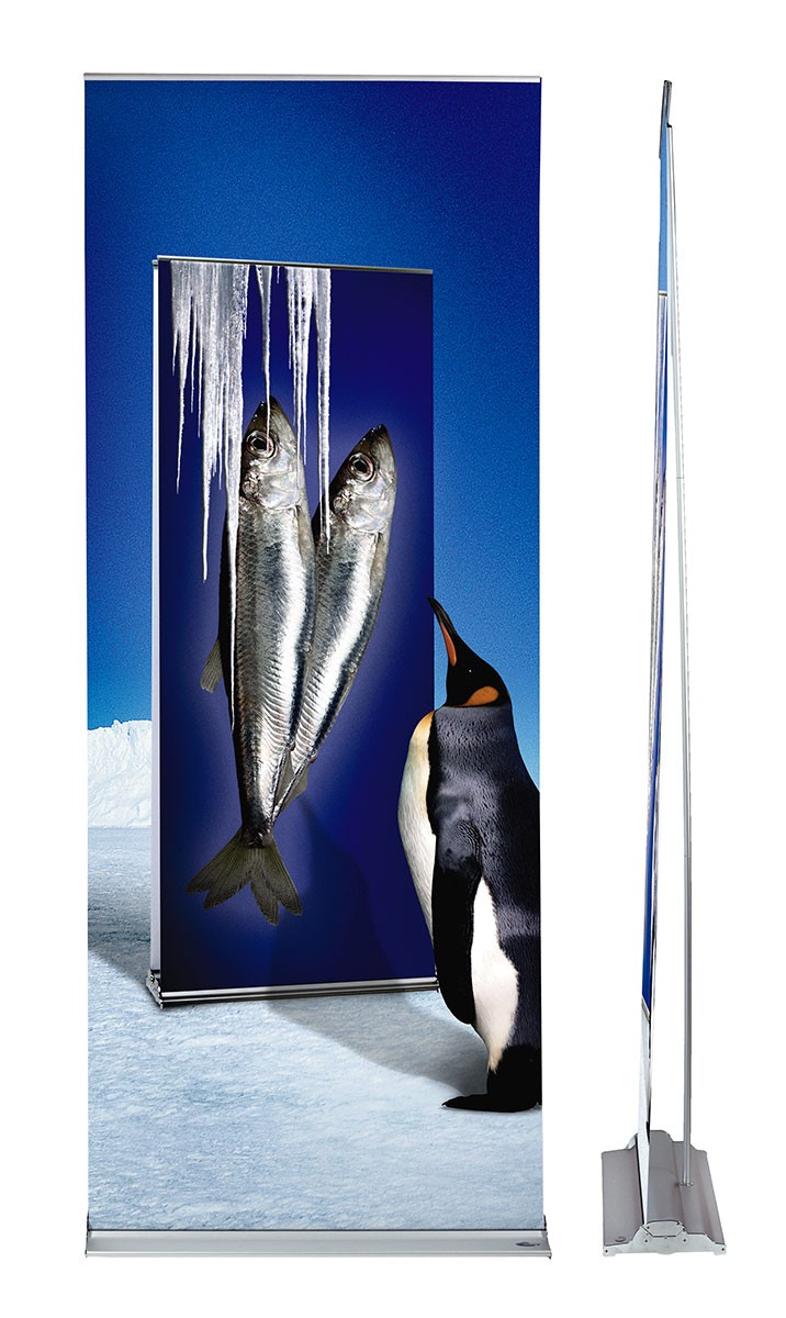 Image for Tradeshowdisplaypros.com Offers A Large Online Collection Of Trade Show Displays with ID of: 5333504