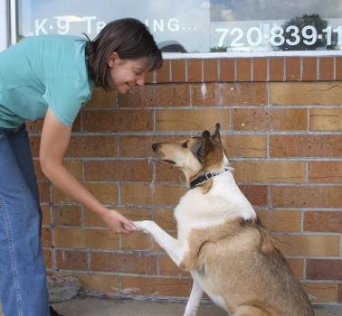 Image for Front Range K9 Academy with ID of: 5334654