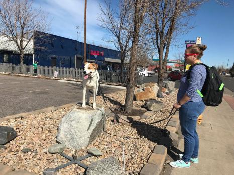 Image for Front Range K9 Academy with ID of: 5334656