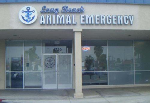 Image for Long Beach Animal Emergency with ID of: 5337418