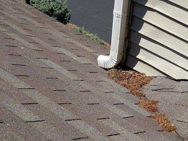 Image for Moore Inspections, LLC with ID of: 5344038