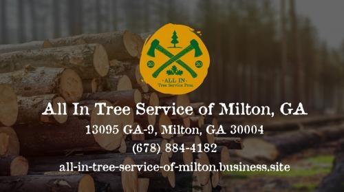 Image for All In Tree Service of Milton with ID of: 5353128