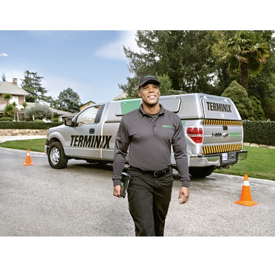Image for Burke Pest Control with ID of: 5353968