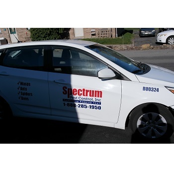 Image for Spectrum Pest Control with ID of: 5355239