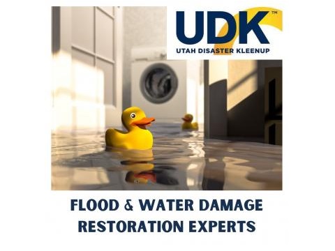 Image for Water Damage Restoration Service with ID of: 5355399