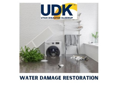Image for Water Damage Restoration Service with ID of: 5355401