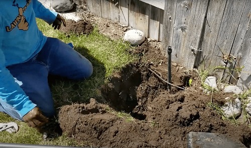 Image for Local Sprinkler Pros with ID of: 5356504