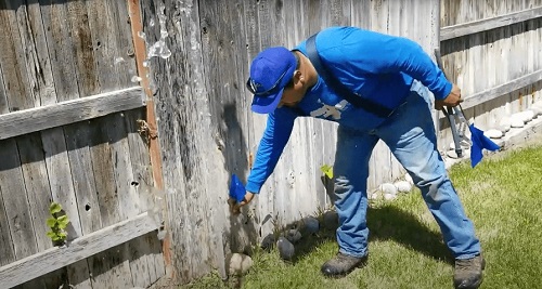 Image for Local Sprinkler Pros with ID of: 5356506