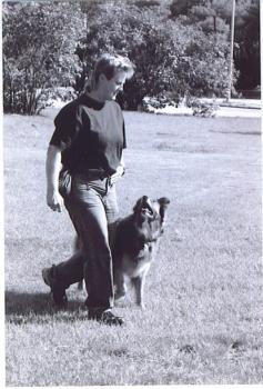 Image for The Cooperative Dog with ID of: 5357203