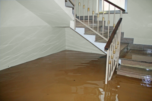 Image for AAA Public Adjusters with ID of: 5363742