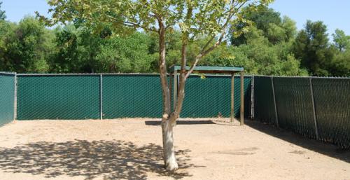 Image for Rocky Canyon Kennels with ID of: 5366204