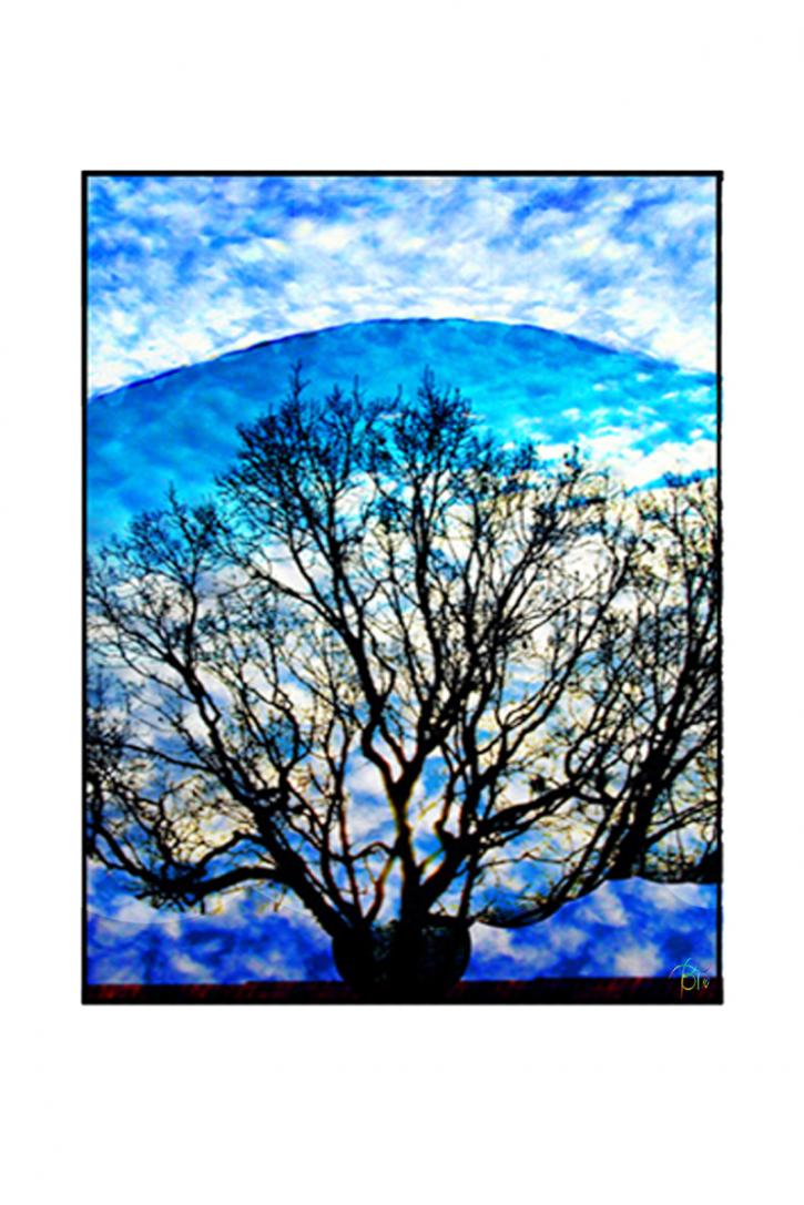 Image for ArtByBobT with ID of: 630139