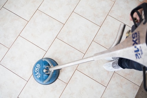 Image for Zerorez Carpet Cleaning with ID of: 5266154