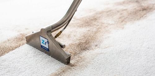 Image for Zerorez Carpet Cleaning with ID of: 5266155