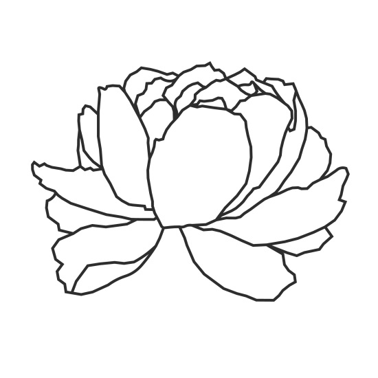 Image for Ritual Massage and Bodywork with ID of: 6305839