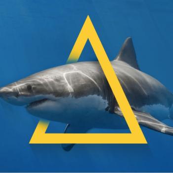 Image for White Shark Projects™ with ID of: 6311427