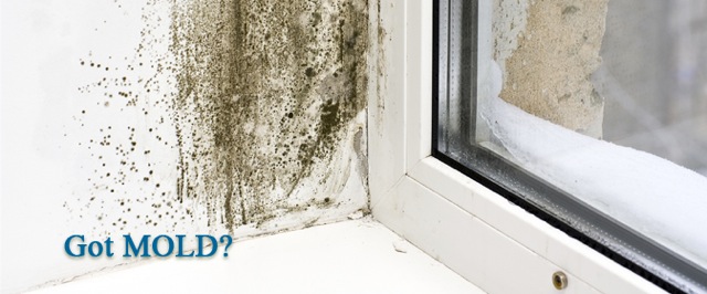 Image for Get the most effective Envirocare Air Excellent Restoration for the house. with ID of: 631149