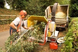 Image for Manassas Tree Service with ID of: 631438