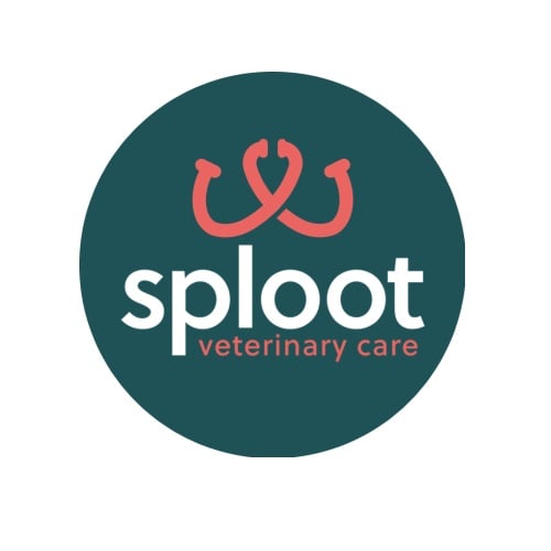 Image for Sploot Veterinary Care - Powers Pointe with ID of: 6315167