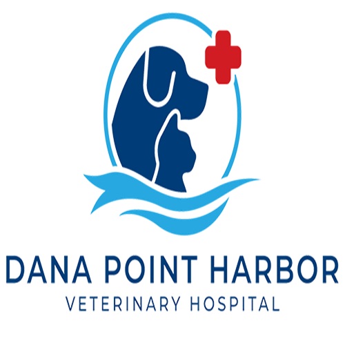 Image for Dana Point Harbor Veterinary Hospital with ID of: 6320468
