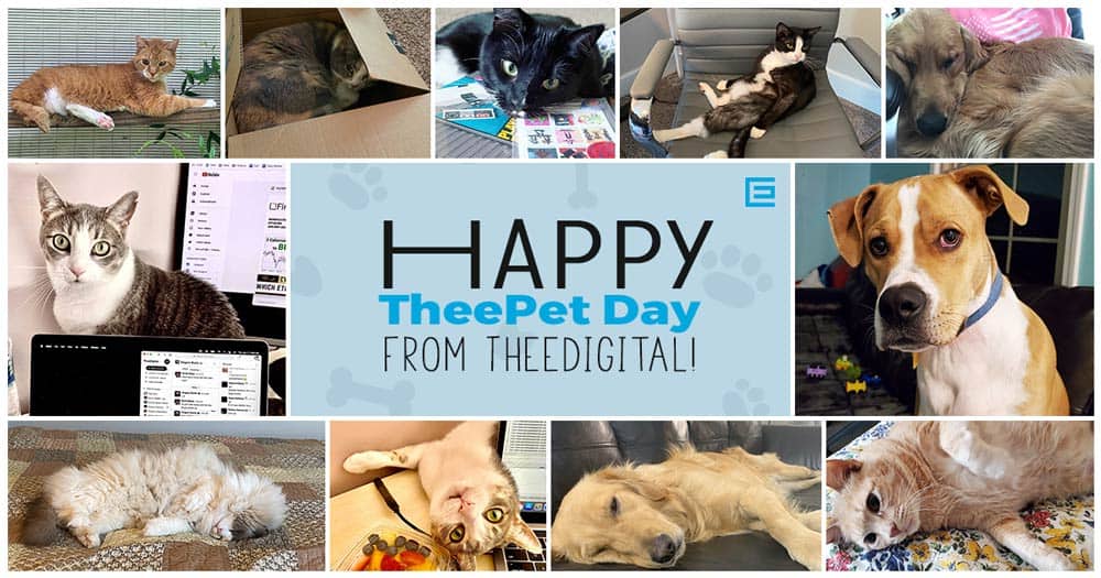 Image for TheeDigital with ID of: 5406852