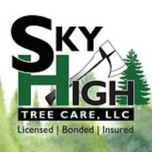 Image for Sky High Tree Care llc with ID of: 6328271