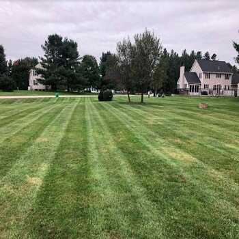 Image for Ace Grounds Management with ID of: 5417435