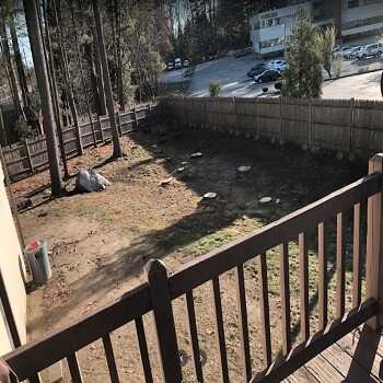 Image for Ace Grounds Management with ID of: 5417436