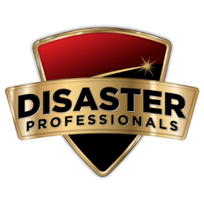 Image for Disaster Professionals LLC with ID of: 6332160
