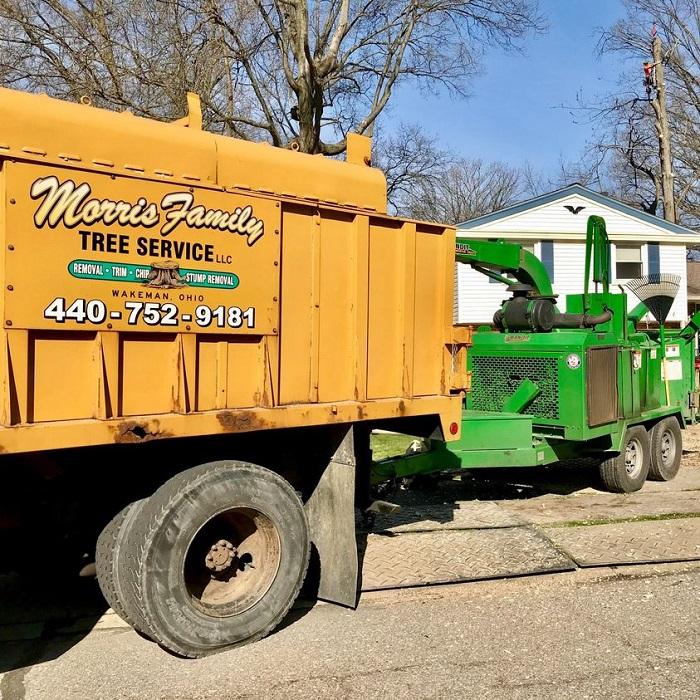 Image for Morris Family Tree Service with ID of: 5420765