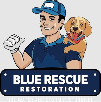 Image for Blue Rescue Restoration with ID of: 6338136