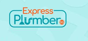 Image for Express Plumber Singapore with ID of: 6338999