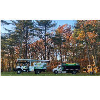 Image for Juarez Landscaping and Tree Services with ID of: 5428343