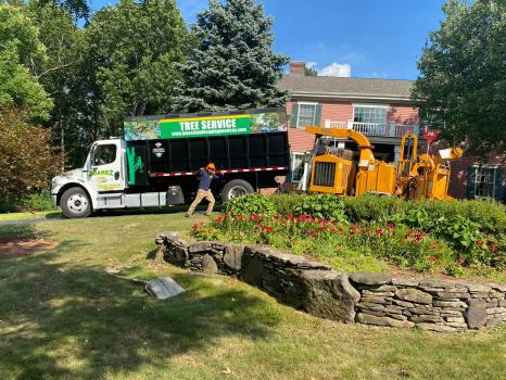 Image for Juarez Landscaping and Tree Services with ID of: 5428345