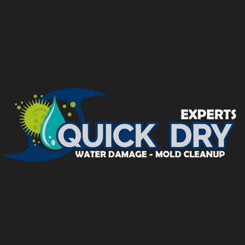 Image for Quick Dry Experts with ID of: 6340091