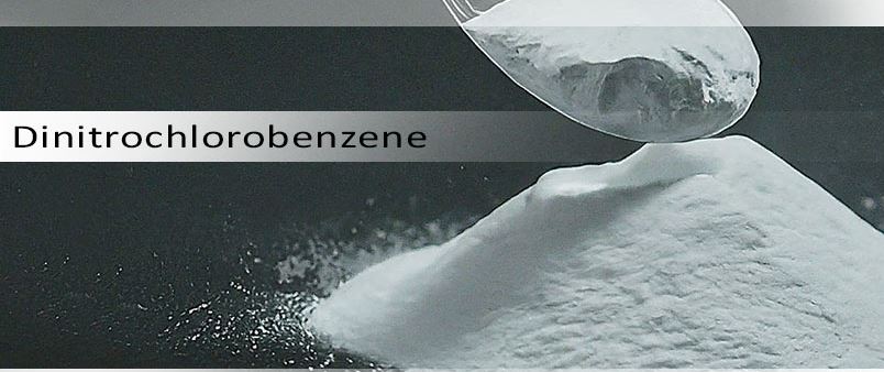 Image for Dinitrochlorobenzene (DNCB) Prices, News, Trend, Graph, Chart, Forecast and Historical with ID of: 6342936