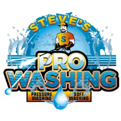 Image for Steve's Pro-Washing with ID of: 6343890