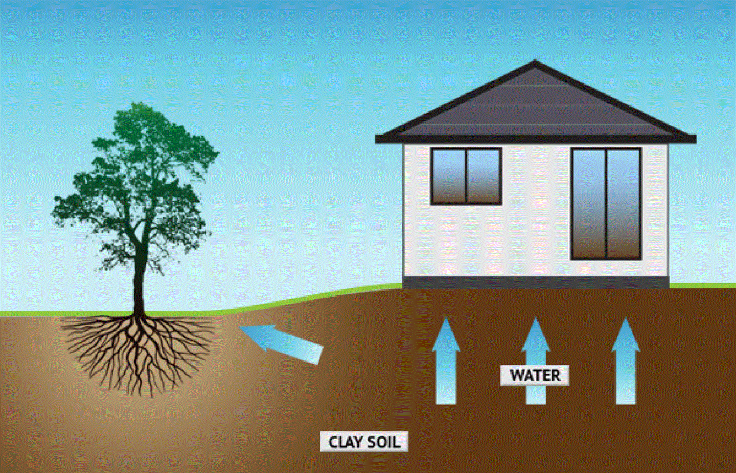 Image for Root Barrier with ID of: 5431613