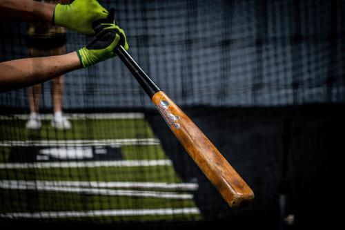 Image for SABRE Bats with ID of: 5434542