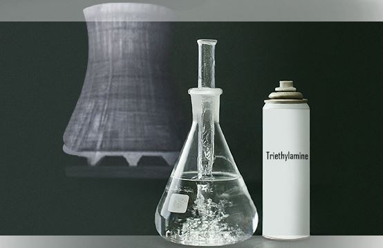 Image for Triethylamine Prices, News, Trend, Graph, Chart, Forecast and Historical with ID of: 6347924