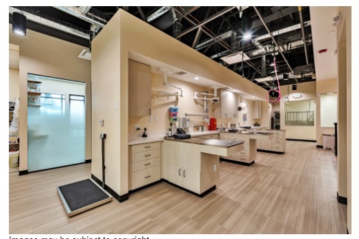 Image for Hill Commercial Construction with ID of: 5439021