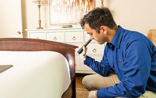 Image for The Bugstoppers Pest Control with ID of: 5443283