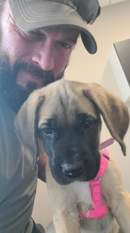 Image for Bluegrass veterinary Hospital PLLC with ID of: 5443481