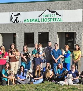 Image for Seneca Animal Hospital with ID of: 5444725