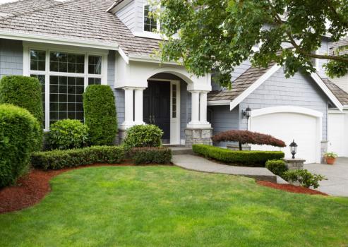 Image for Daytona Landscaping with ID of: 5446617